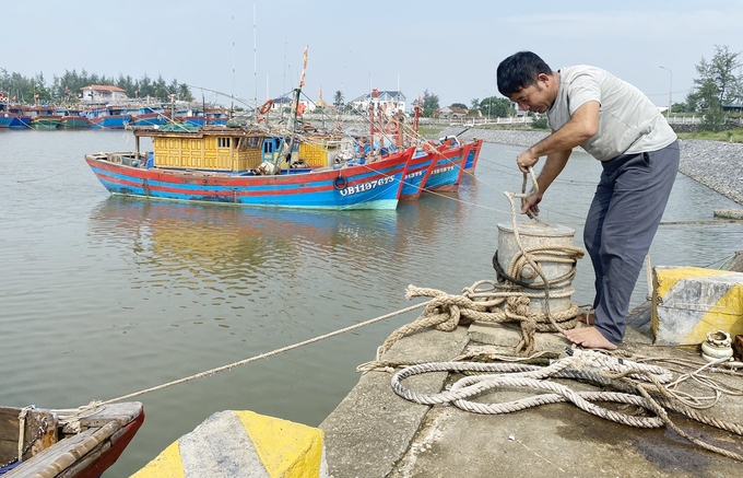 Ngư dân đưa tàu cá vào khu neo đậu Bảo Ninh và buộc an toàn. Ảnh: T. Phùng.