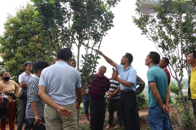 Ông Wang Xujun đang hướng dẫn người dân về việc trồng cây hạt. 