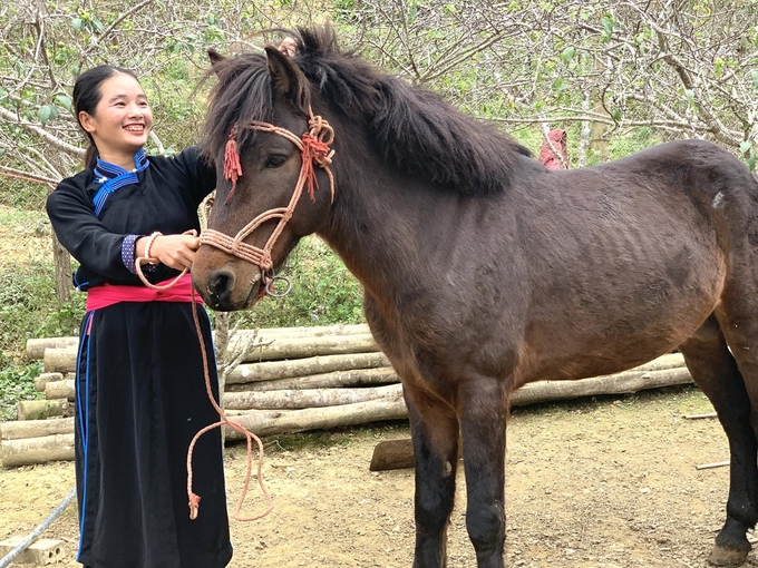 The women of Bac Ha are not inferior to men. In addition to farming and raising horses, they are also skilled riders on the racetrack. Photo: H.D.