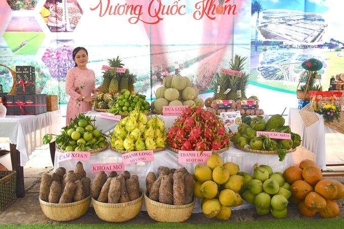 Khóm cùng với khoai mỡ, thanh long là nông sản chủ lực của huyện Tân Phước, tỉnh Tiền Giang. Ảnh: Minh Đảm.