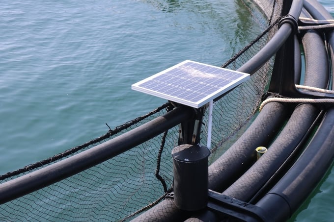 The cage is equipped with a solar-powered camera, helping farmers observe the farming process without being on the raft. Photo: Kim So.