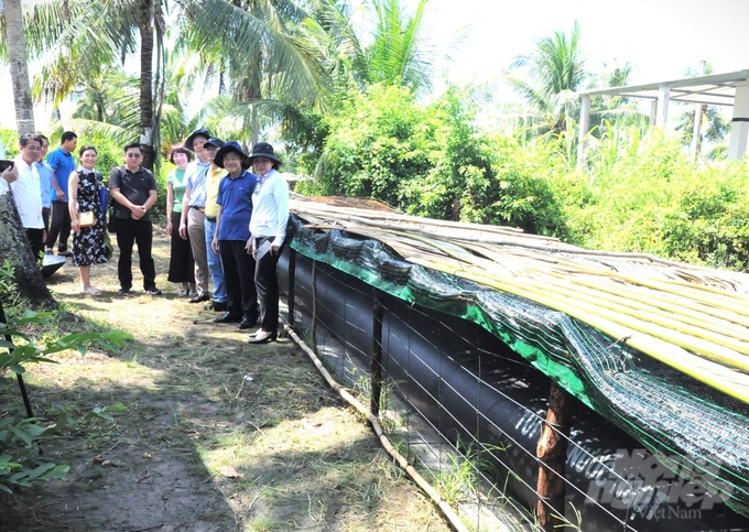 Officials from the Ministry of Science and Technology and the Ministry of Agriculture and Rural Development conducting a survey and assessment of the effectiveness of household and small community water supply models in the context of drought and saltwater intrusion in coastal provinces of the Mekong Delta region. This initiative was carried out in Kien Giang province. Photo: Trung Chanh.