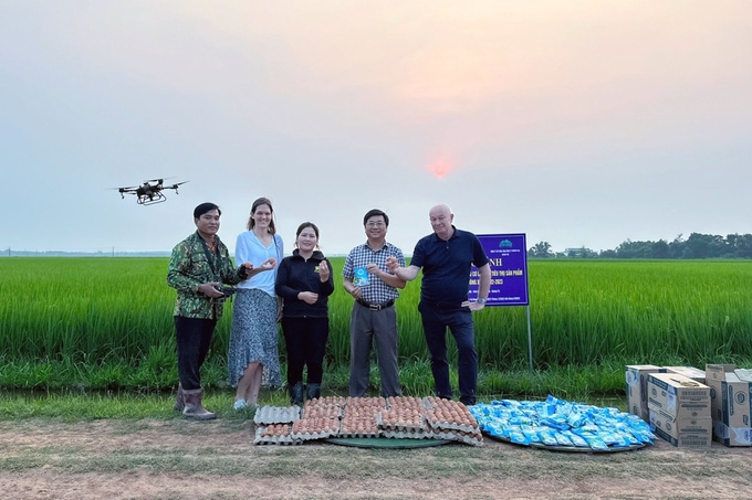 Many foreign experts have visited and surveyed organic rice fields in Quang Tri province. Photo: Vo Dung.