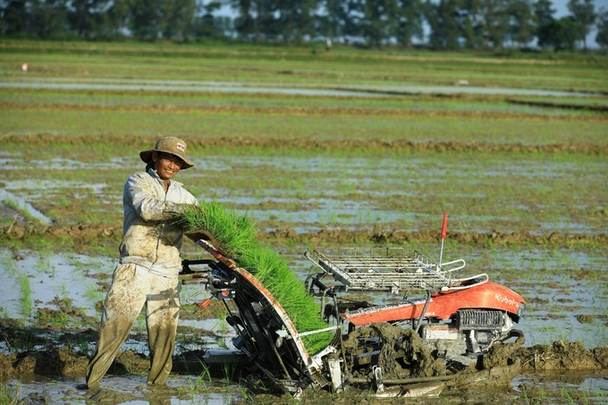 The majority of the rice cultivation and care stages are fully mechanized. Photo: Vo Dung.
