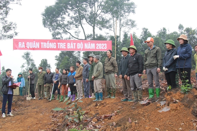 Every year, Tran Yen district organizes a Bat Do bamboo planting kick-off ceremony to encourage people to expand their area. Photo: Thanh Tien.