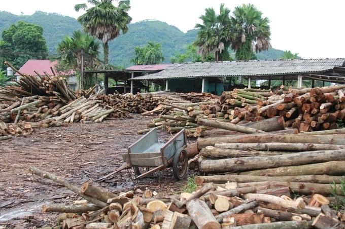 Many wood processing factories still have to maintain moderate operations because they still have raw materials, and if they don't process them, the materials will be damaged. Photo: Thanh Tien. 