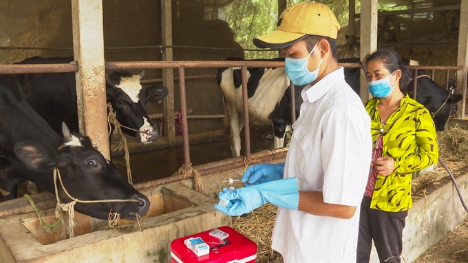 Chi cục Chăn nuôi và Thú y tỉnh Sóc Trăng trang bị đủ nguồn lực và vacxin đảm bảo phục vụ công tác phòng bệnh cho đàn vật nuôi. Ảnh: Kim Anh.
