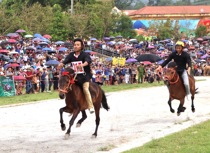 Bac Ha’s traditional horse racing festival attracts thousands of visitors every year. Photo: H.D.