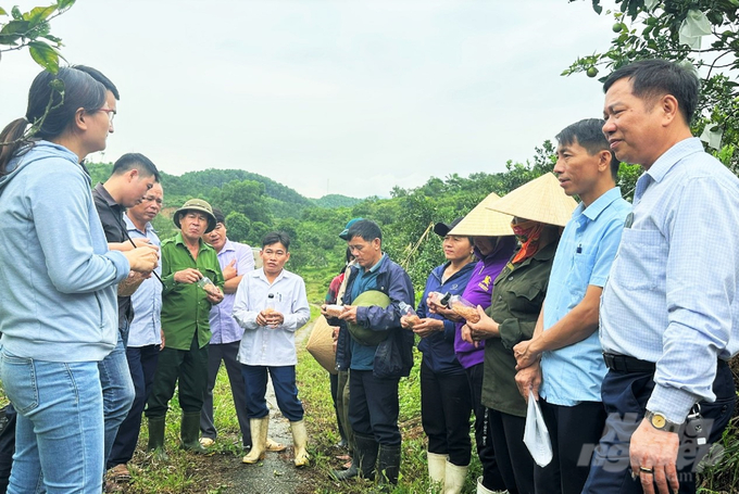 Cán bộ Trung tâm BVTV vùng Khu IV tập huấn kỹ thuật nhân nuôi và bổ sung thức ăn cho kiến vàng tại xã Thọ Điền, huyện Vũ Quang. Ảnh: Thanh Nga. 