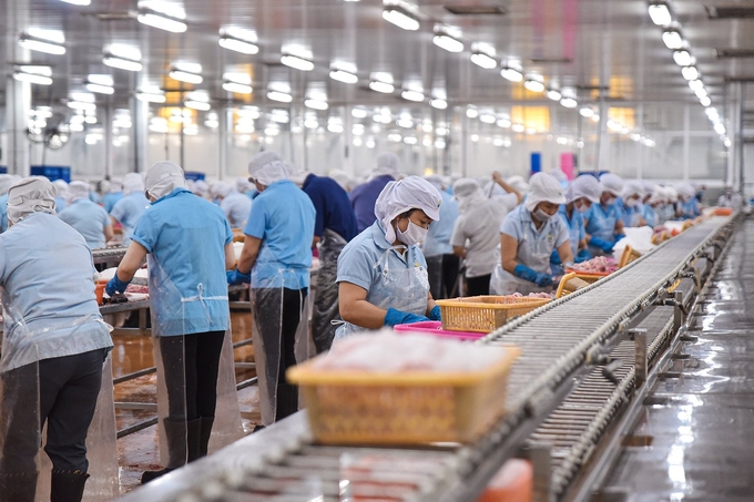 Data show that most female workers in the agricultural sector have not been supported with the necessary skills and knowledge, and do not have the power to make decisions in the agricultural value chain. Photo: Quynh Chi.