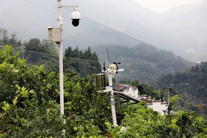 Hệ thống camera theo dõi thời gian thực và trạm khí tượng thu thập dữ liệu tại vườn cam ở huyện Tỷ Quy. Ảnh: Chinadaily.