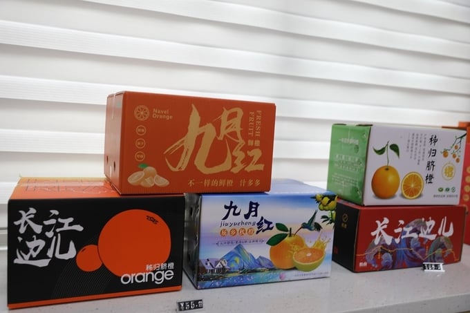 Các sản phẩm chế biến từ cam rốn được trưng bày tại công ty Harway Logistics ở huyện Tỷ Quy, tỉnh Hồ Bắc, Trung Quốc. Ảnh: Chinadaily.