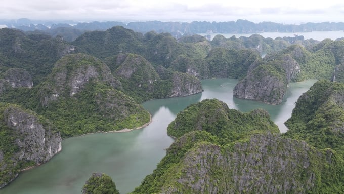 The beauty of Cat Ba Island is not inferior to Ha Long Bay. Photo: Nhat Quang.