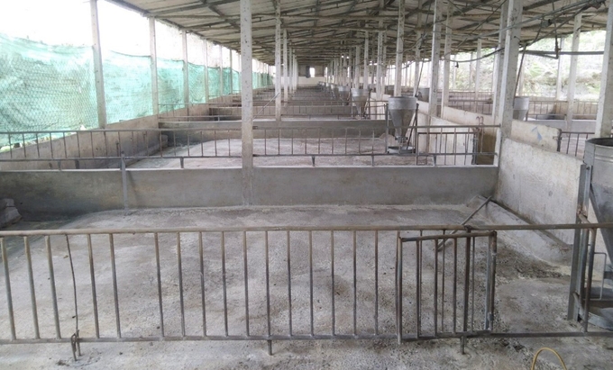 Người chăn nuôi kiến nghị Trung ương, tỉnh Hà Tĩnh cần có chính sách hỗ trợ tiêu hủy lợn bị dịch tả Châu Phi nhằm cứu người chăn nuôi vượt qua giai đoạn khó khăn, ổn định sản xuất. Ảnh: Thanh Nga.