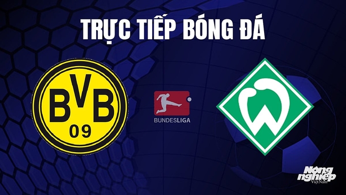 Trực tiếp bóng đá Bundesliga 2023/24 giữa Dortmund vs Werder Bremen hôm nay 21/10/2023