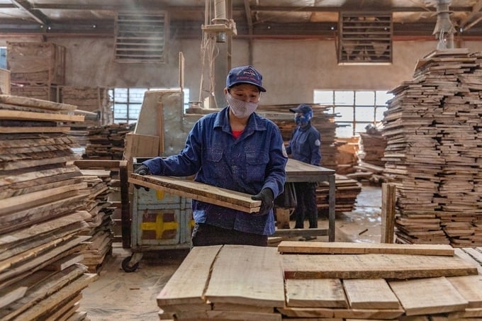 In all areas of the forestry industry, women participate everywhere and they always complete their work.