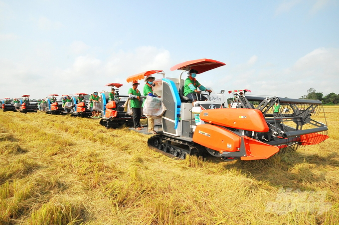 An Giang xác định nông nghiệp là nền tảng, là cốt lõi kinh tế. Ảnh: Lê Hoàng Vũ.