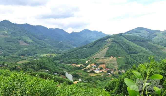 Van Lang commune is trying to reach the new rural destination in 2024. Photo: Dao Thanh.