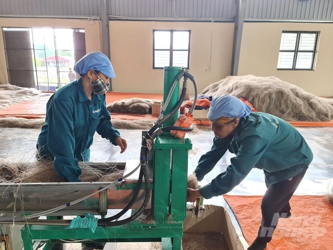 The machinery and equipment system at Viet Cuong Vermicelli Cooperative were researched and invented by Mr. Ba and members of the cooperative. Photo: Dao Thanh.