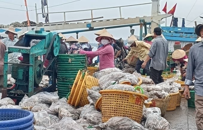As of now, 100% of fishermen in Vung Tau city have signed a commitment not to violate foreign waters. Photo: MS.