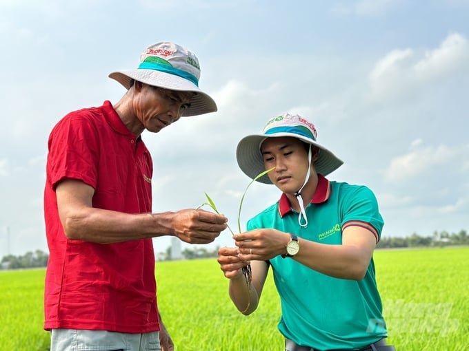 Kỹ sư Công ty Phú Nông tư vấn thuốc trị bệnh trên lúa cho nông dân. Ảnh: Hồ Thảo.