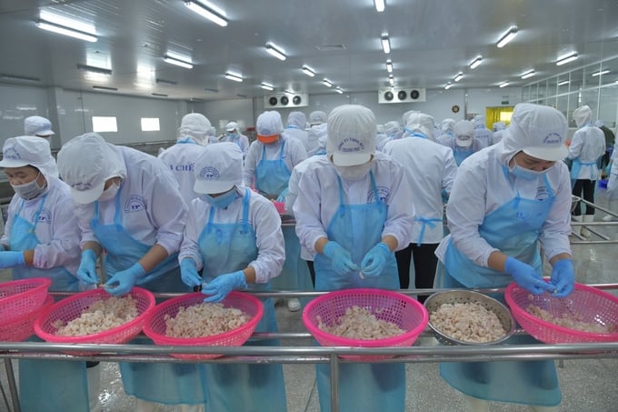The fisheries industry has been promoting its advantages, affirming that it is one of the key industries, contributing significantly to the country's economy. Photo: Hong Tham.