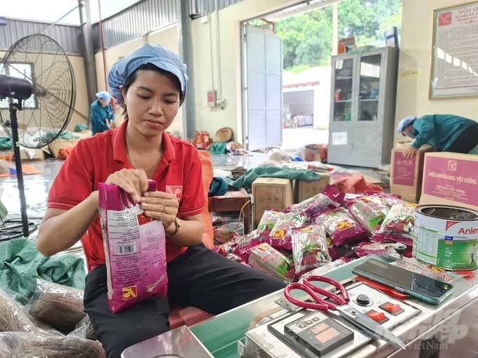 Viet Cuong vermicelli, one of two agricultural products of Thai Nguyen province achieving 5 stars OCOP at the national level. Photo: Dao Thanh.