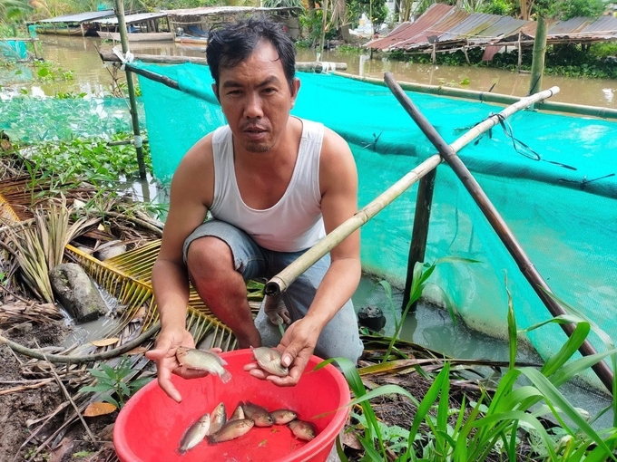 Nhiều học viên được đào tạo và áp dụng vào sản xuất, chăn nuôi, trồng trọt, dịch vụ có hiệu quả phù hợp nhu cầu phát triển của địa phương. Ảnh: Trọng Linh.