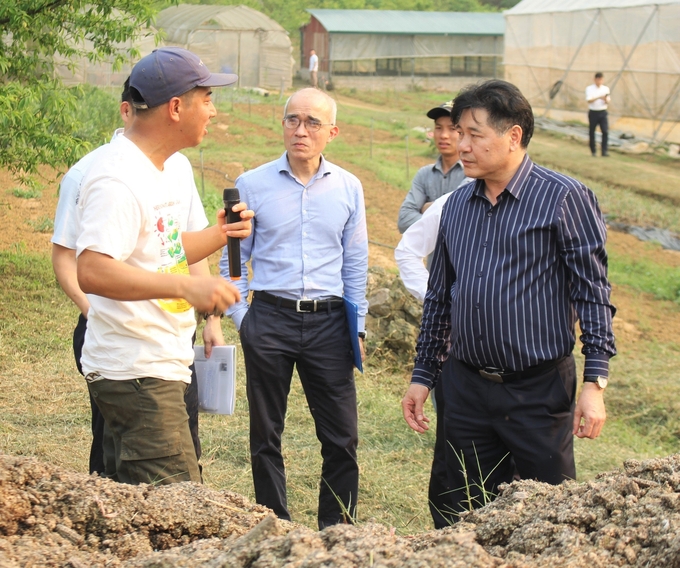 Trung tâm Khuyến nông Quốc gia đã triển khai hiệu quả nhiều dự án hợp tác quốc tế, góp phần quan trọng mang lại sinh kế bền vững cho nông dân. Ảnh: Trung Quân.