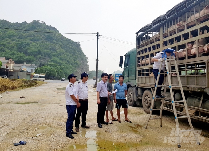 Ông Đặng Văn Hiệp, Chi cục trưởng Chi cục Chăn nuôi và Thú y ThanH Hóa (thứ 3 từ phải qua trái) kiểm tra dịch bệnh tại Trạm kiểm dịch động vật Dốc Xây, Bỉm Sơn năm 2019. Ảnh: Quốc Toản.