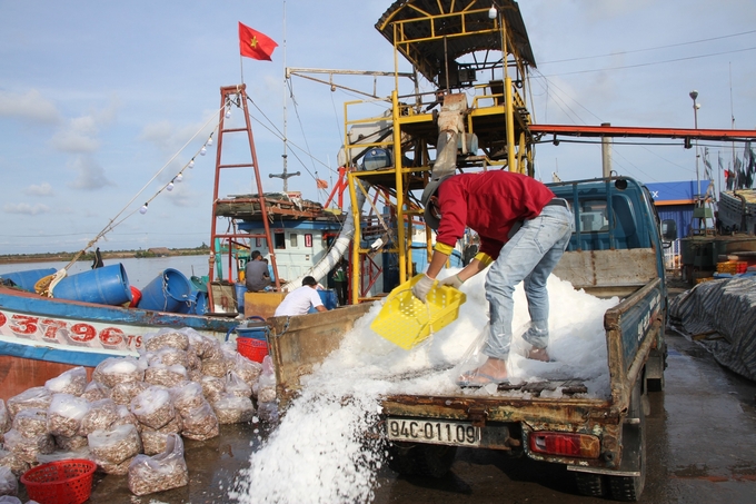 Trước khi ra vào cảng, ngư dân đều trình báo với lực lượng chức năng. Ảnh: Trọng Linh.