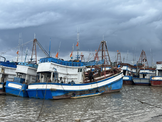 Chiến dịch chống khai thác IUU của tỉnh Bạc Liêu đã có những kết quả ngoài mong đợi. Ảnh: Trọng Linh.