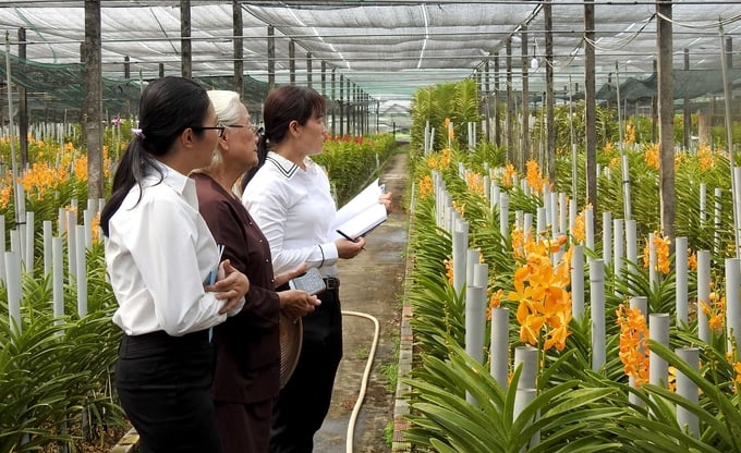 Vietnam Agricultural Extension is increasingly innovating its activities according to the direction of modern agriculture. Photo: Thanh Son.