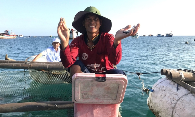 Leaf squid farmers in Nhon Chau island commune (Quy Nhon city, Binh Dinh) do not let squid leftover food pollute the farming area. Photo: V.D.T.