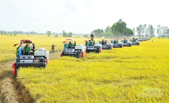 Vietnam Agricultural Extension has significantly contributed to the achievements of our country's rice industry. Photo: Le Hoang Vu.