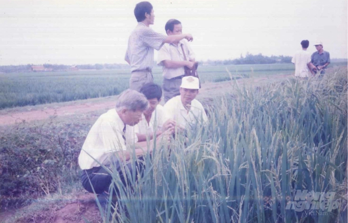 Late Deputy Prime Minister Nguyen Cong Tan (seated, far left) visits F1 hybrid rice production in Ung Hoa, Ha Tay (old).