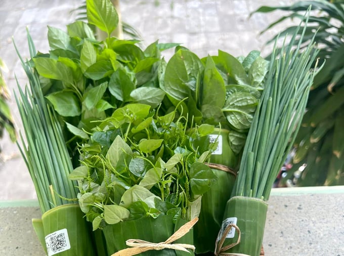 Organic vegetables according to PGS standards of Dong Thap. Photo: Nguyen Thuy.