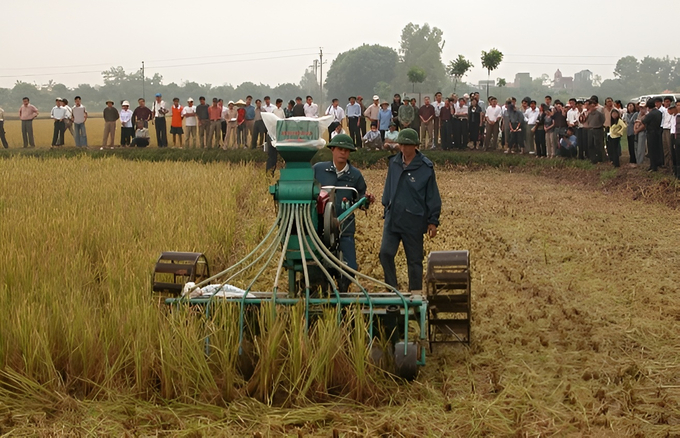 Các hoạt động trình diễn kỹ thuật khuyến nông ngoài đồng ruộng.