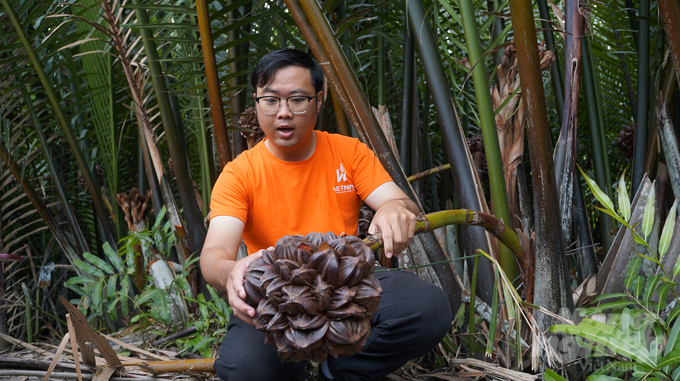 Phan Minh Tien, CEO of Vietnipa shares about the benefits of growing and producing nipa honey. Photo: Nguyen Thuy.