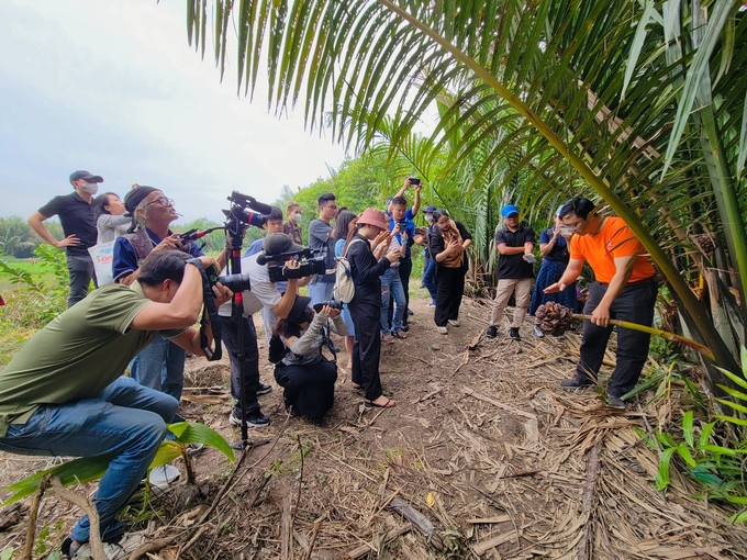 Media correspondents visit the nipa honey model. Photo: Luan Huynh.