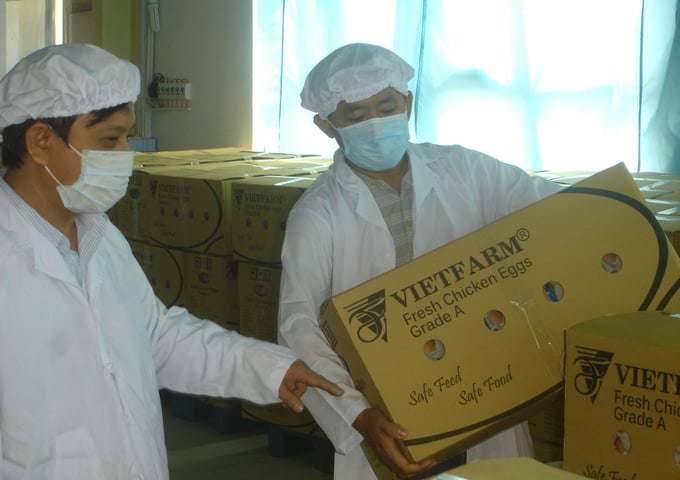 Chicken egg packaging for export at Vietfarm Company. Photo: Son Trang.