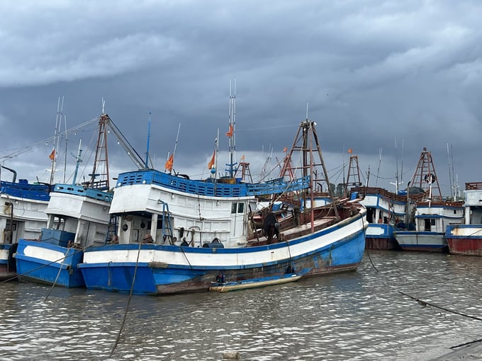 The campaign against IUU fishing in Bac Lieu province has had unexpected results. Photo: Trong Linh.