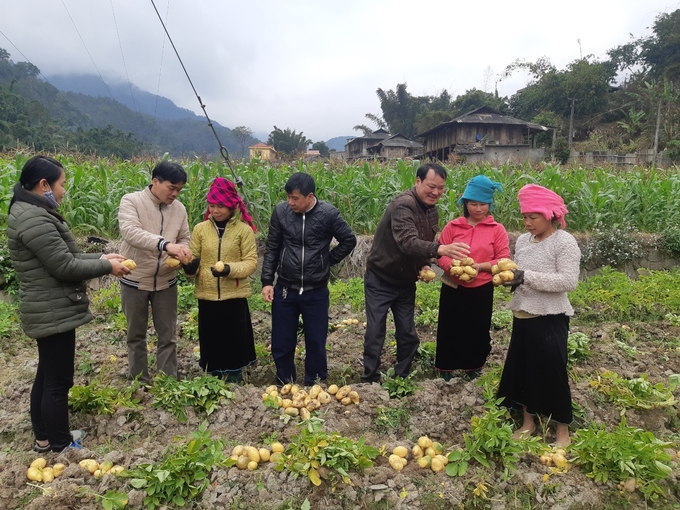 Vietnam agricultural extension has fulfilled its mission of hunger eradication and poverty reduction. Photo: TL.