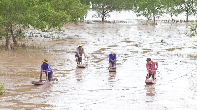 Co-management groups actively participate in protecting protective forests in association with protecting aquatic resources under the forest canopy. Photo: Kim Anh.