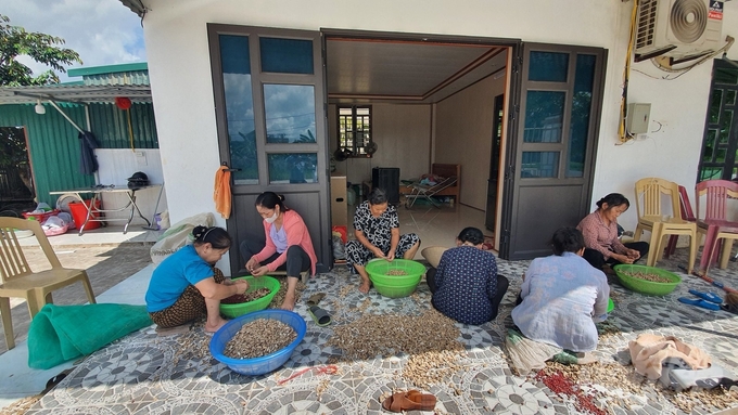 Chị em phụ nữ vừa bóc lạc vừa bàn tán xôn xao câu chuyện 'chị Lanh mua máy bay' về làng. Ảnh: Kiên Trung.