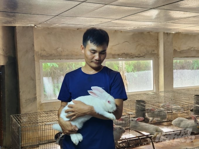 Anh Tuấn Anh là chủ trai thỏ tại huyện Thường Xuân với số lượng khoảng 3.000 con. Ảnh: Quốc Toản.