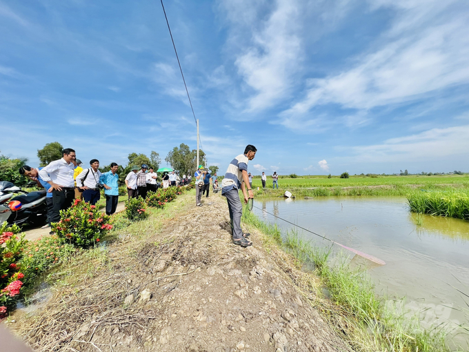 Mô hình lúa - tôm tại xã Trí Lực, huyện Thới Bình (Cà Mau) đạt chứng nhận ASC Group đầu tiên tại Việt Nam, cũng là chứng nhận đầu tiên của thế giới. Ảnh: Trọng Linh.