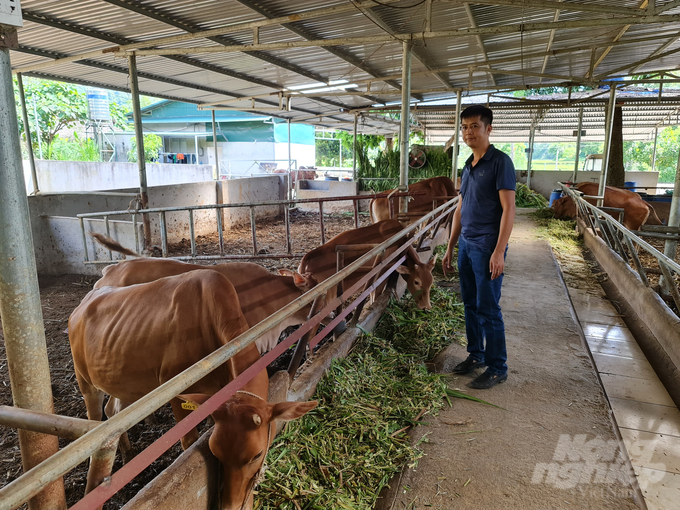 Tỉnh Hà Giang xác định, thực hiện hiệu quả việc phòng dịch bệnh sẽ là vấn đề then chốt để ngành chăn nuôi thắng lợi. Ảnh: Đào Thanh.