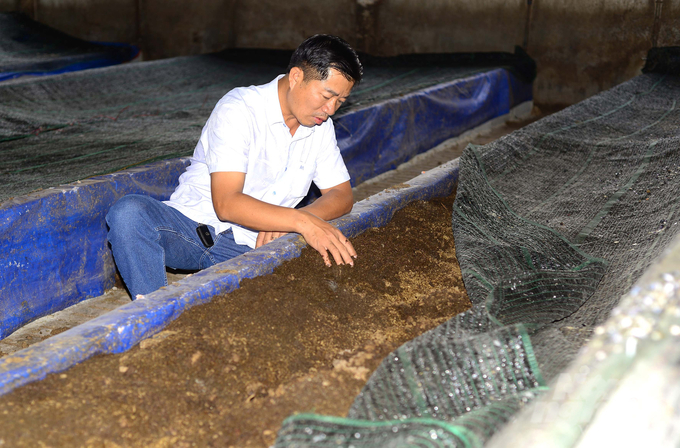 Gia đình ông Lê Văn Thạnh xây dựng mô hình sản xuất phân trùn quế để xử lý nguồn phân bón, phế phẩm nông nghiệp từ trang trại bò sữa. Ảnh: Minh Hậu.