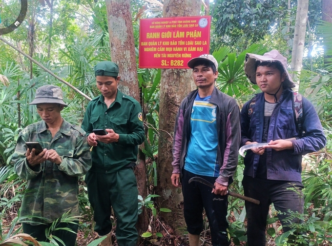 Tỉnh Quảng Nam cho rằng, việc điều chỉnh chỉ tiêu đất lâm nghiệp nhằm phù hợp với tình hình thực tế của địa phương. Ảnh: L.K.